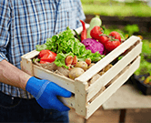 Food Ingredients